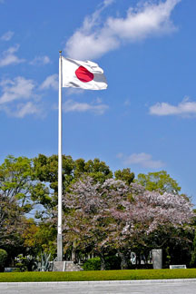 Japanese flag and Japanese cherry trees